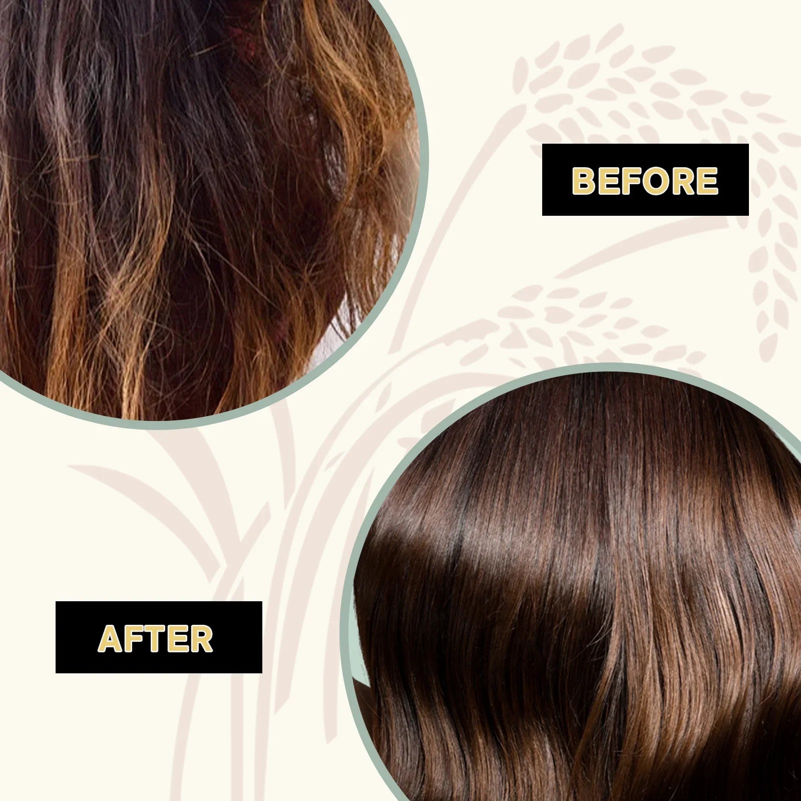 Hair Care Bars™